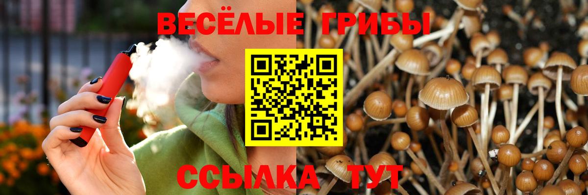 Галлюциногенные грибы мухоморы Новодвинск